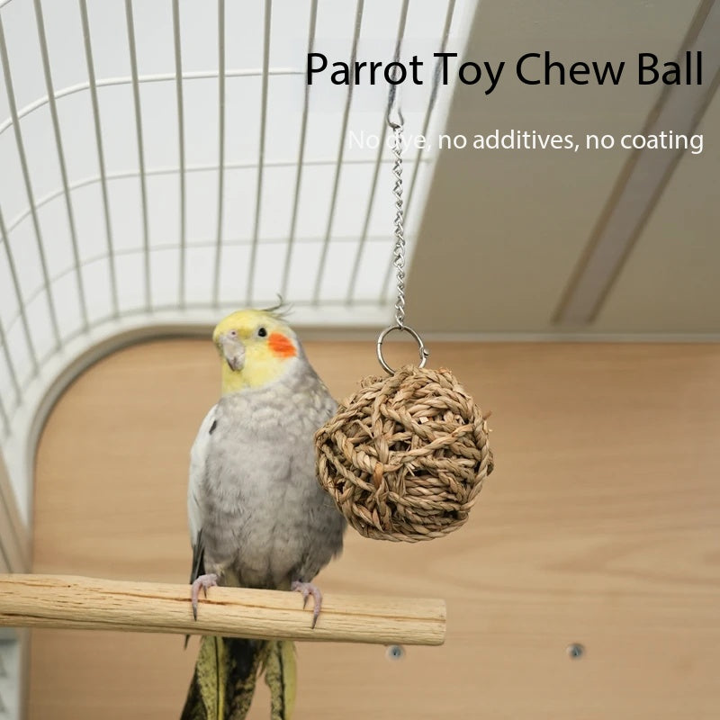 Natural Grass Parrot Chew Ball Toy｜Safe Hanging Foraging Toy For Pet Birds