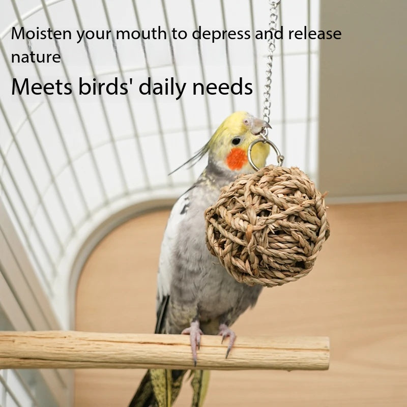 Natural Grass Parrot Chew Ball Toy｜Safe Hanging Foraging Toy For Pet Birds