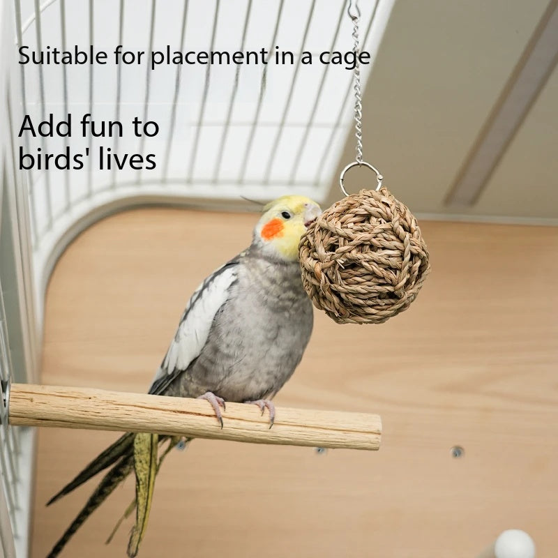 Natural Grass Parrot Chew Ball Toy｜Safe Hanging Foraging Toy For Pet Birds