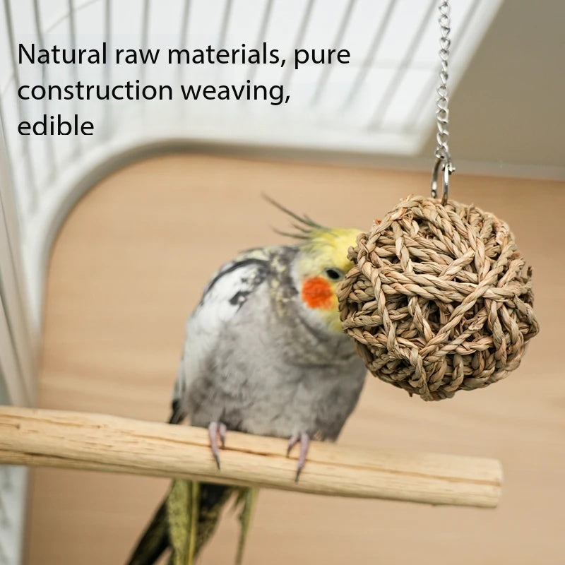 Natural Grass Parrot Chew Ball Toy｜Safe Hanging Foraging Toy For Pet Birds